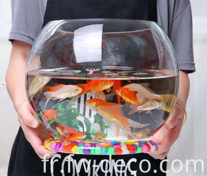 fish bowl